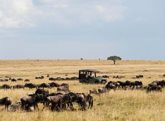 Exceptional Safaris